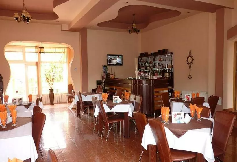 ペンション Floare De Colt Petrosani