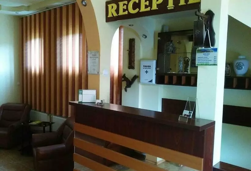 ペンション Floare De Colt Petrosani