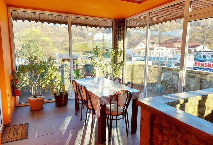 פנסיון Floare De Colt Petrosani