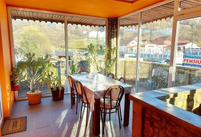 ペンション Floare De Colt Petrosani