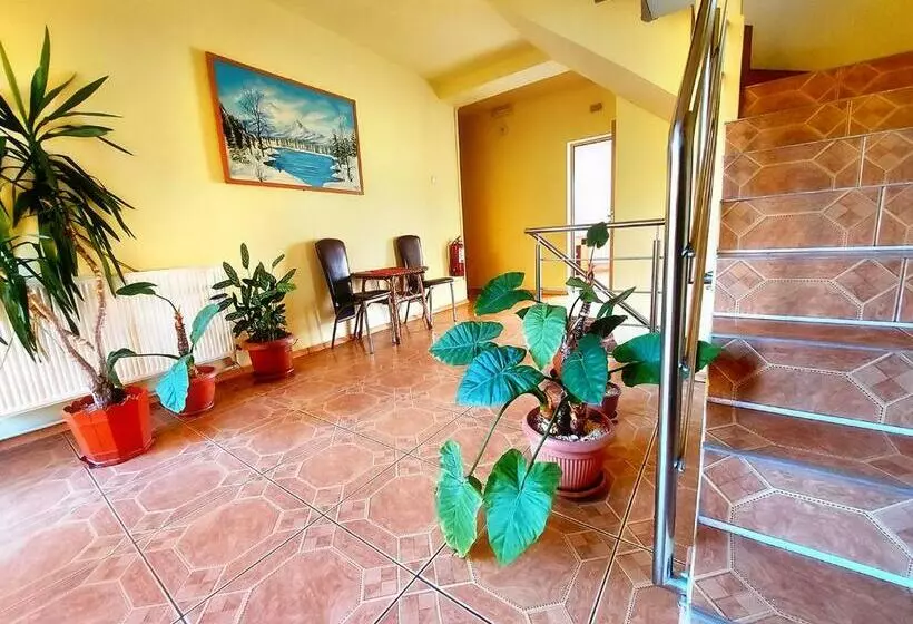 ペンション Floare De Colt Petrosani