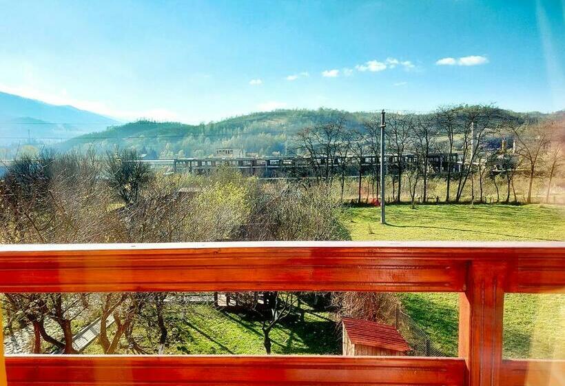 פנסיון Floare De Colt Petrosani