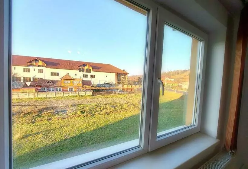 ペンション Floare De Colt Petrosani