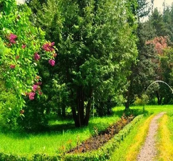 پانسیون Green Paradise Guest House