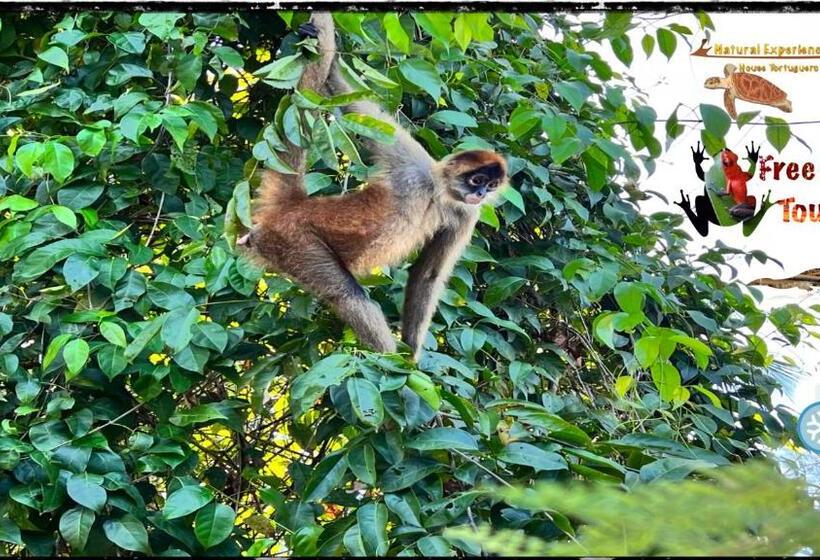 پانسیون Natural Experience House