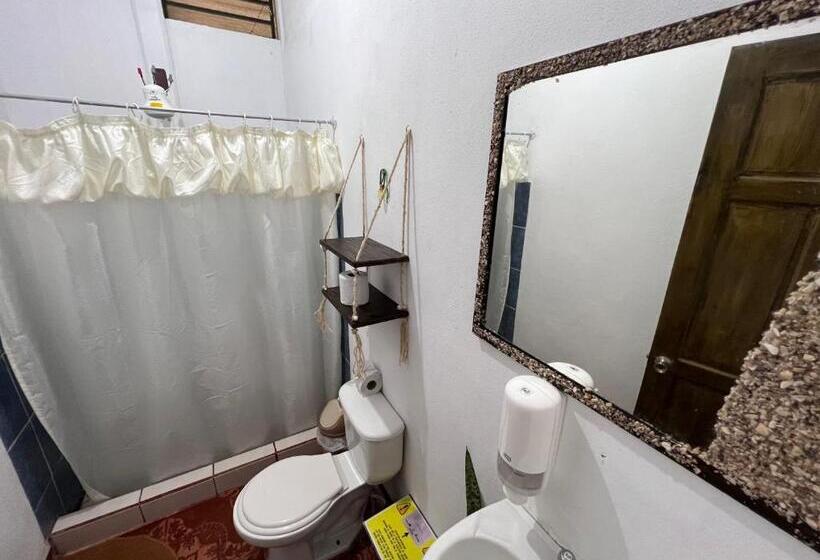 پانسیون Natural Experience House