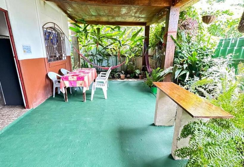 پانسیون Natural Experience House