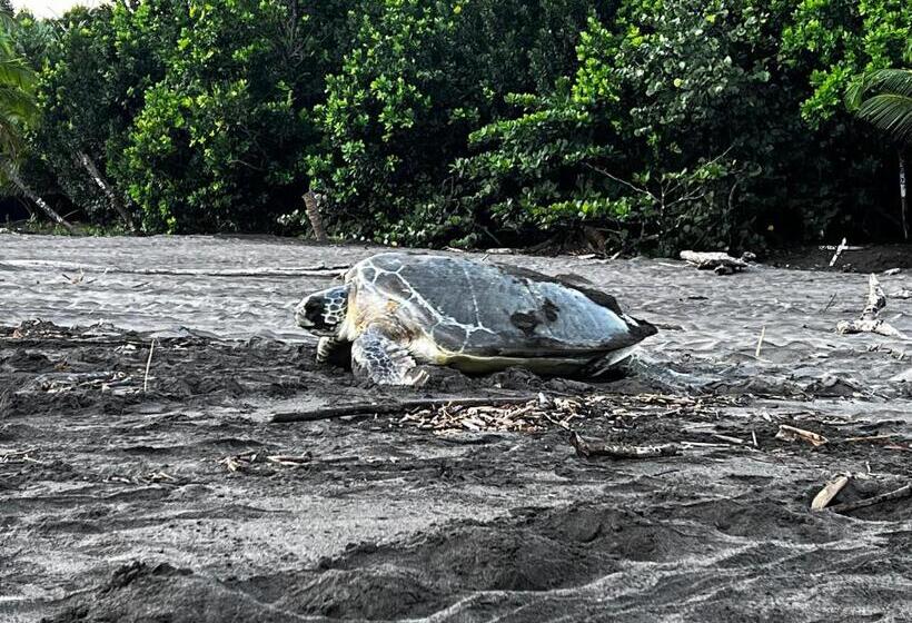 پانسیون Natural Experience House