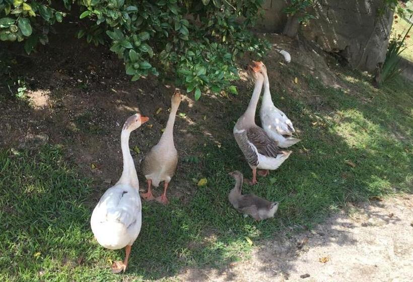 ペンション Pousada Pe Na Terra Em Guararema