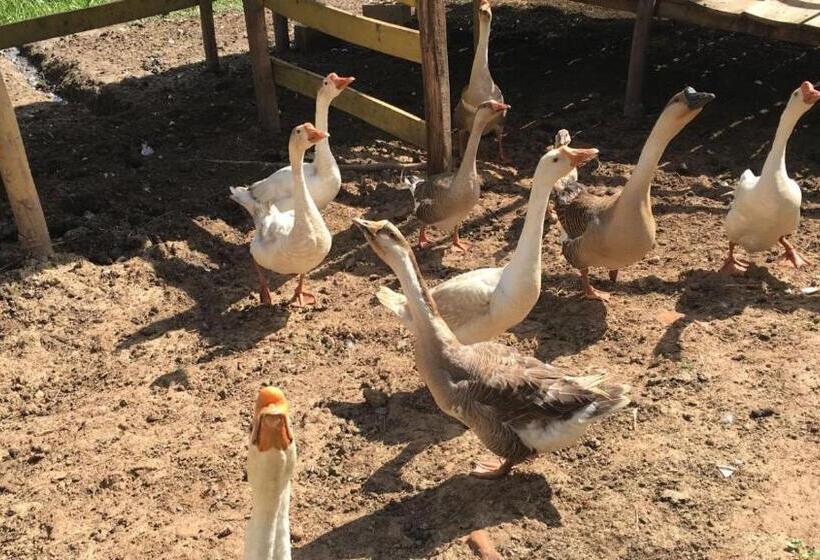 ペンション Pousada Pe Na Terra Em Guararema