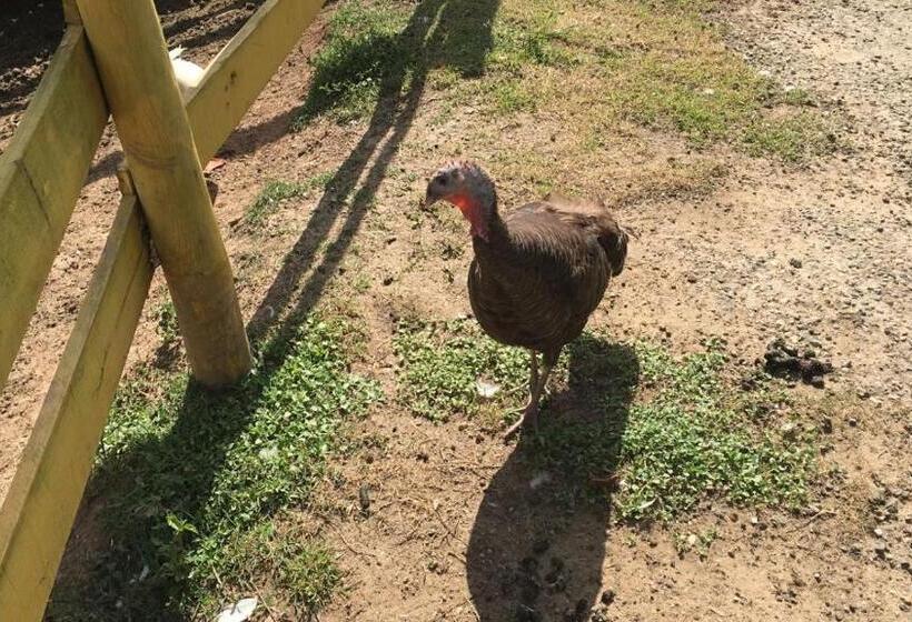 ペンション Pousada Pe Na Terra Em Guararema