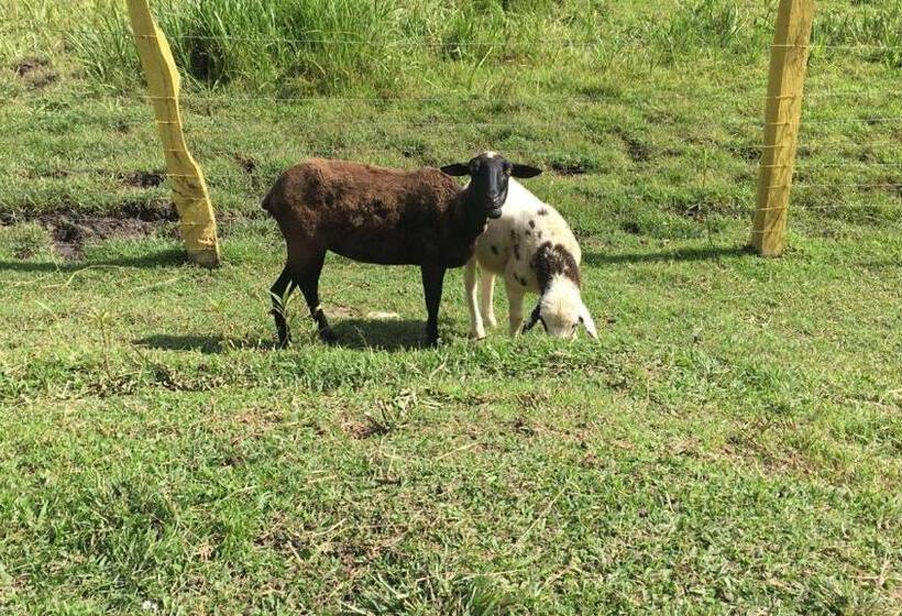 ペンション Pousada Pe Na Terra Em Guararema