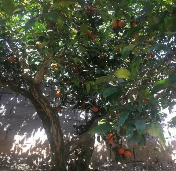 ペンション Pousada Pe Na Terra Em Guararema