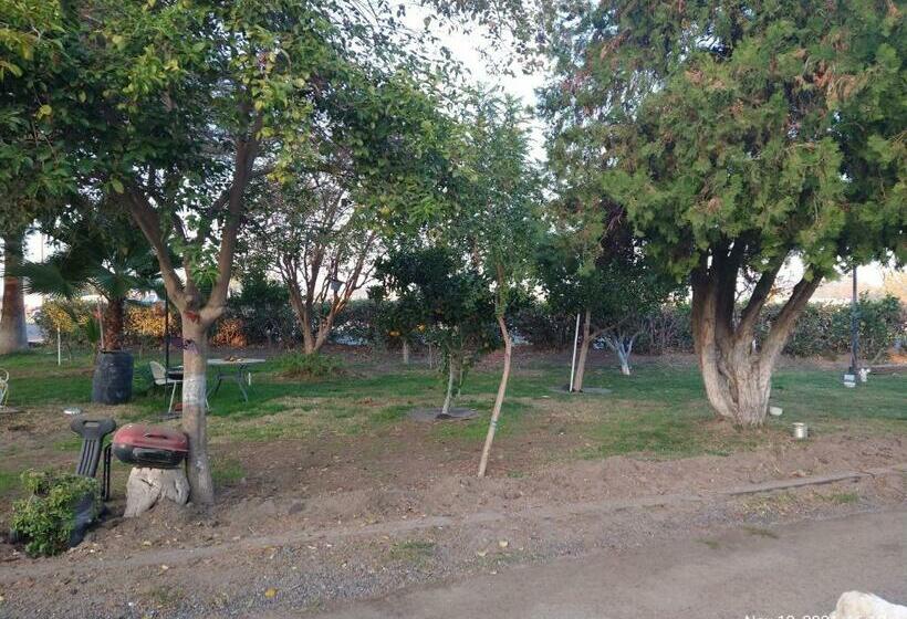 ペンション Room In Lodge  Shasta Motel In Turlock, Ca