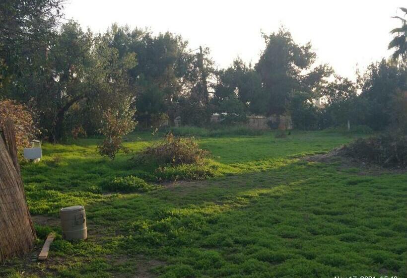 ペンション Room In Lodge  Shasta Motel In Turlock, Ca