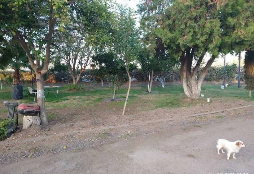 ペンション Room In Lodge  Shasta Motel In Turlock, Ca