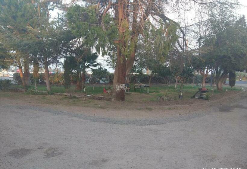 ペンション Room In Lodge  Shasta Motel In Turlock, Ca