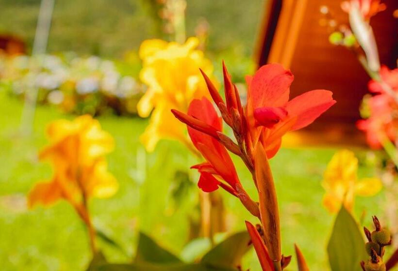 Общежитие Pousada Bugio Da Serra