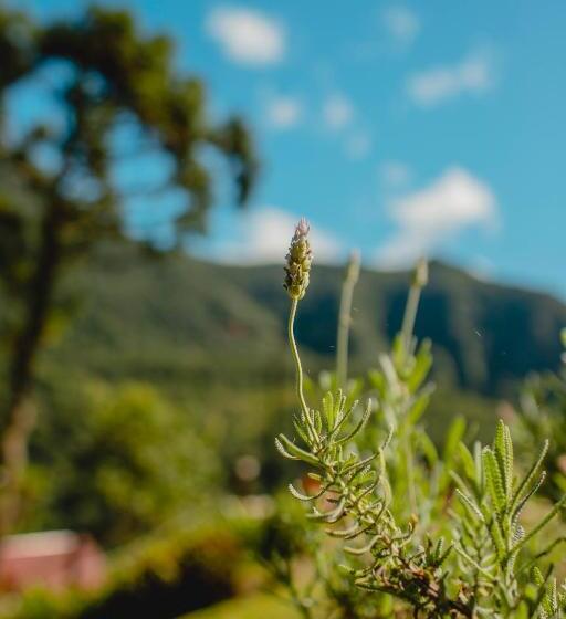 Общежитие Pousada Bugio Da Serra