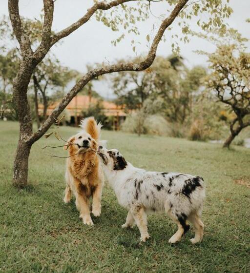 Szálló Pousada Sete Quedas