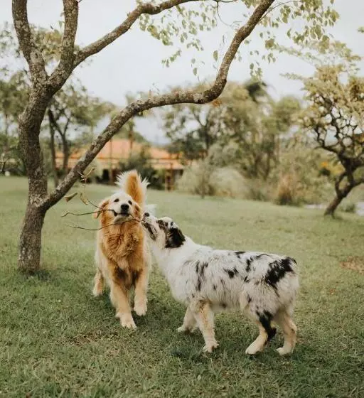 ユースホステル Pousada Sete Quedas