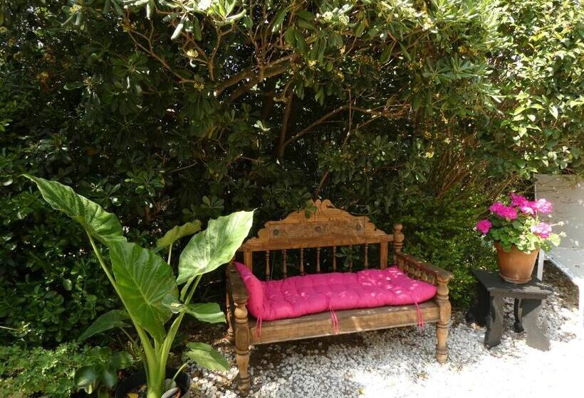 تختخواب و صبحانه Babou