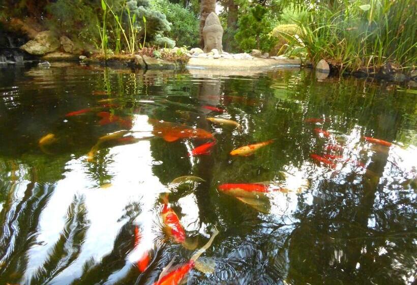 تختخواب و صبحانه Babou