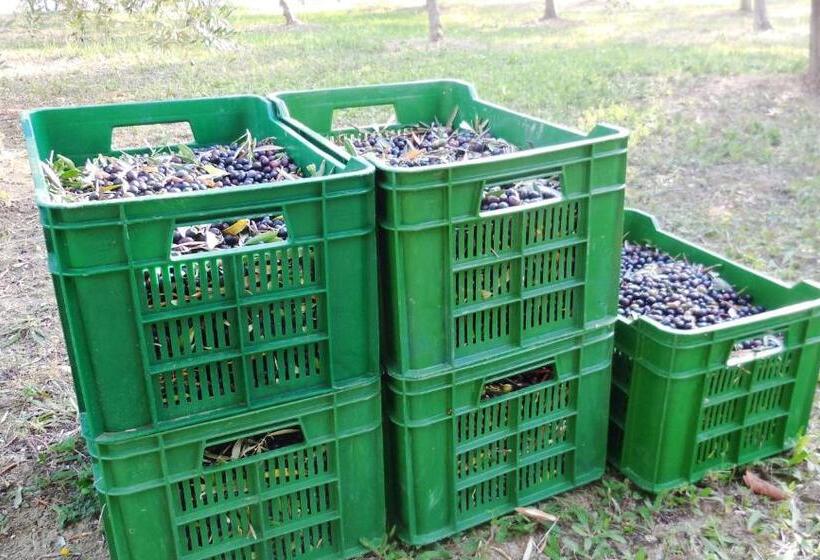 مبيت وإفطار Jake S Place