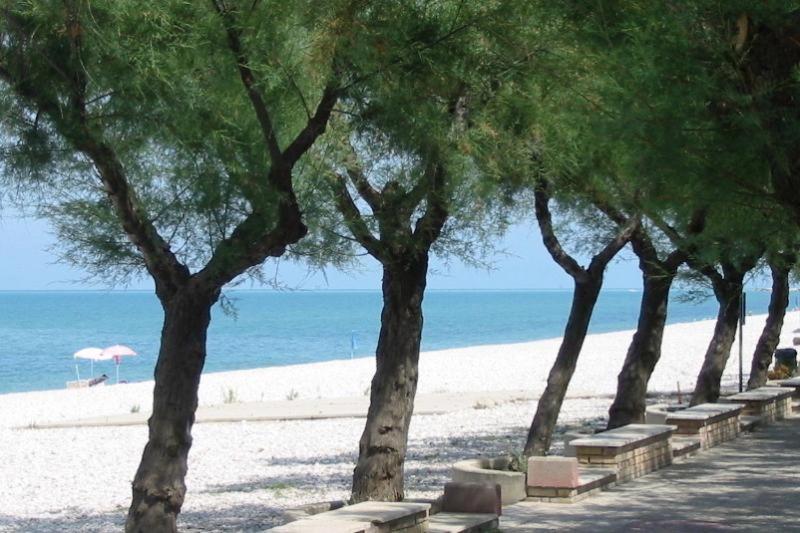 مبيت وإفطار Jake S Place