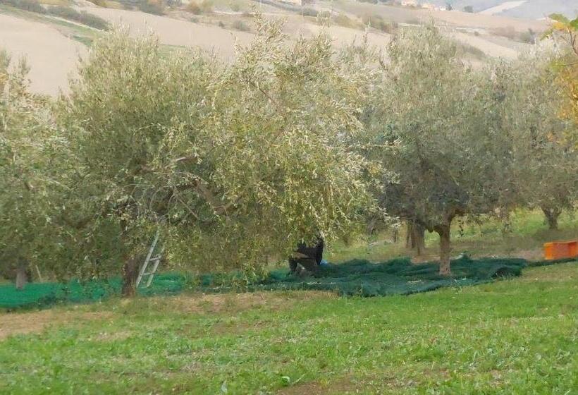 مبيت وإفطار Jake S Place