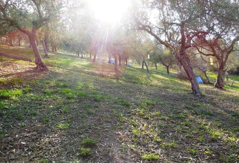 مبيت وإفطار Jake S Place