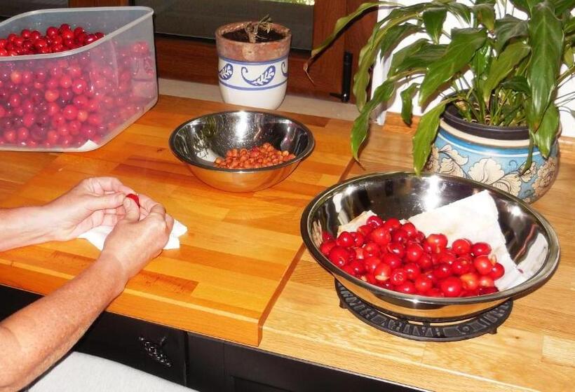 مبيت وإفطار Jake S Place