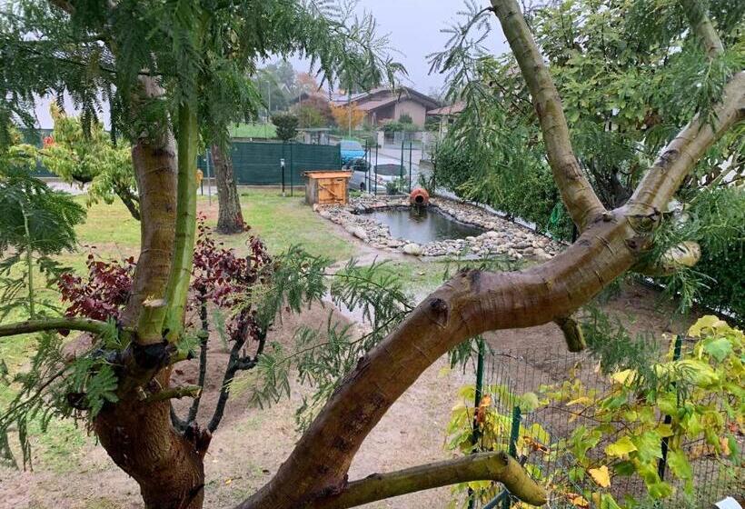 Bed & Breakfast Indi Thelar