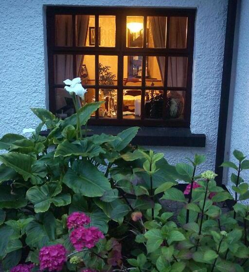 Ivy Cottage B&b