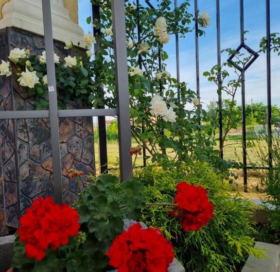 پانسیون Alba Forum