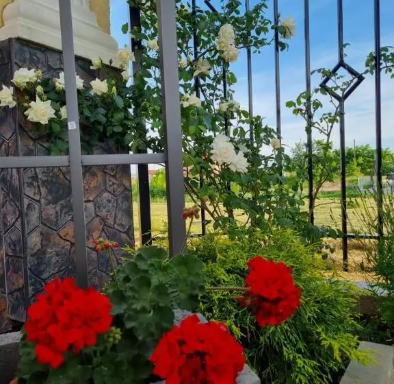 پانسیون Alba Forum