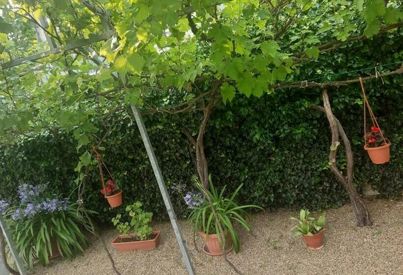 פנסיון Aleksa Apartman