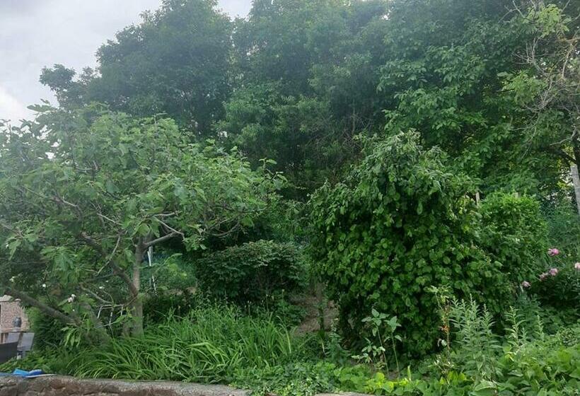 بنسيون Aleksa Apartman