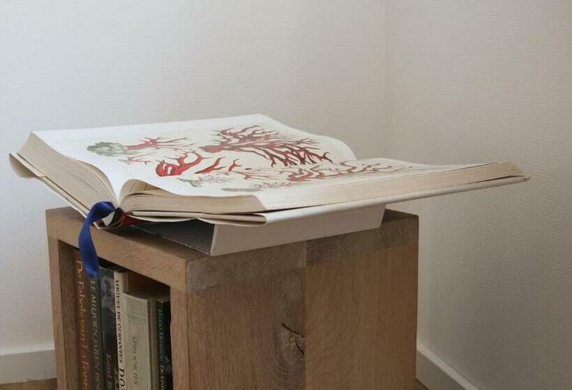 پانسیون Bed & Coffee Maricoweg