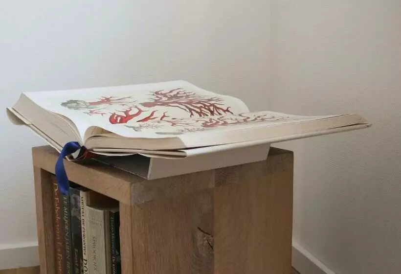 Majatalo Bed & Coffee Maricoweg