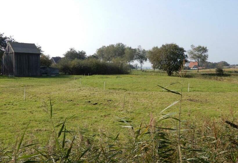 پانسیون Bed & Coffee Maricoweg