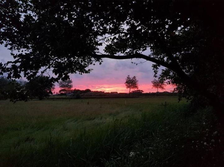 پانسیون Bed & Coffee Maricoweg