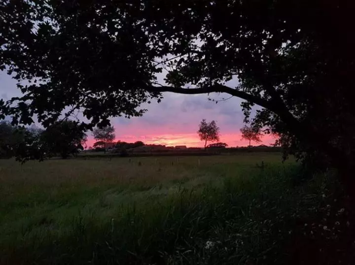 Majatalo Bed & Coffee Maricoweg