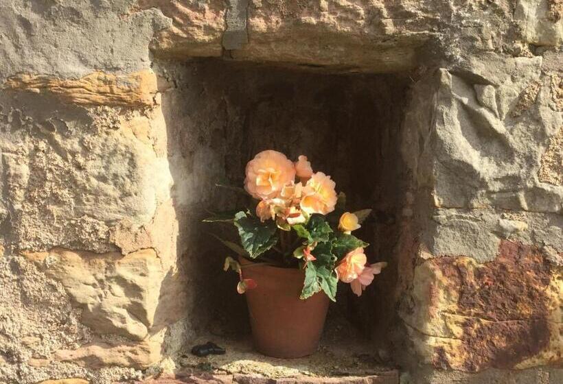 Pensiune Honeypot Guest House