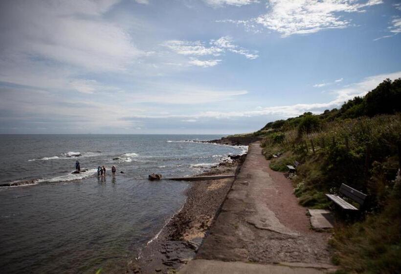 Pensiune Honeypot Guest House