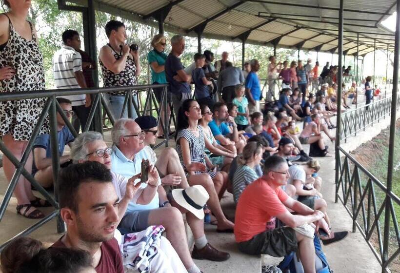 Пансион Nice View Safari Villa