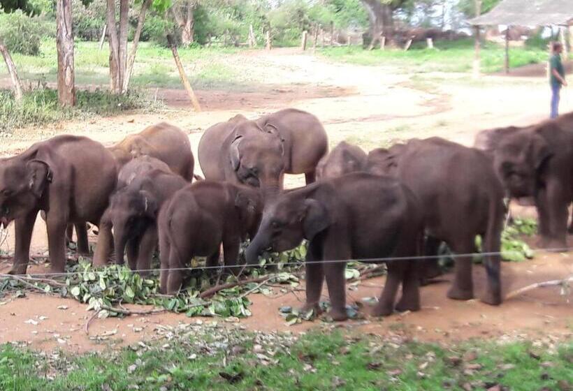 Пансион Nice View Safari Villa