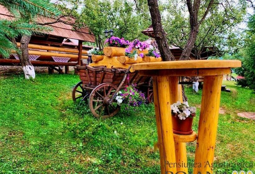 Pensiunea Agroturistica Poiana