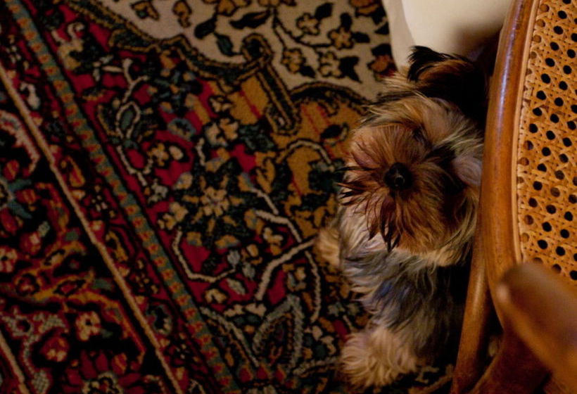 住宿加早餐 Locanda Dei Cinque Cerri