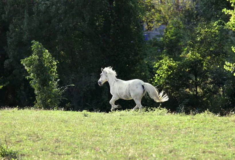 住宿加早餐  Locanda Dei Cinque Cerri